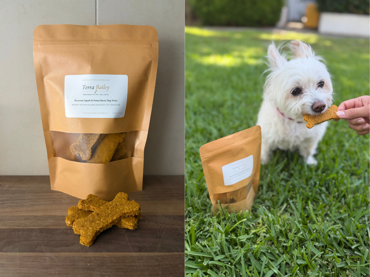 Terra Bailey treats and Bailey